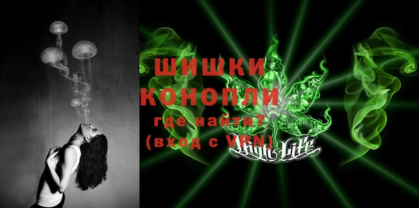 МДПВ Горнозаводск