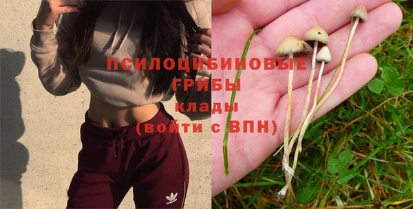 MESCALINE Чердынь