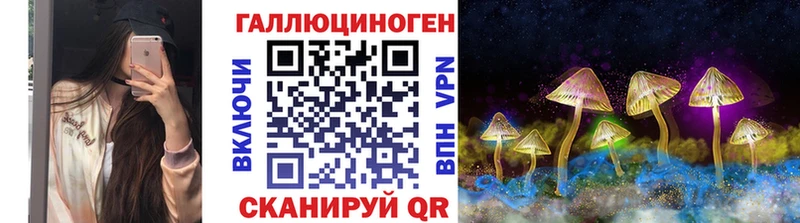 Псилоцибиновые грибы Cubensis  как найти   Меленки 